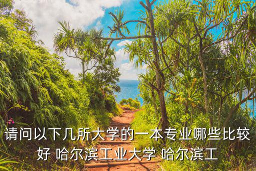 請問以下幾所大學的一本專業哪些比較好 哈爾濱工業大學 哈爾濱工