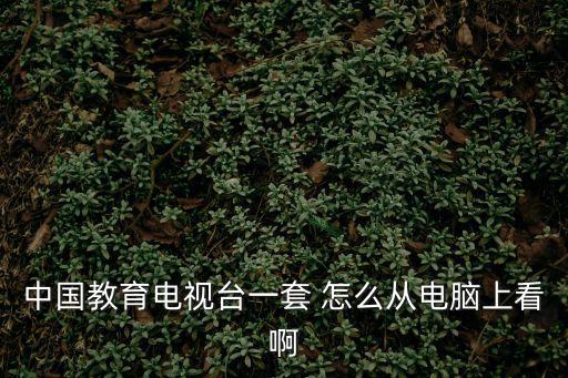 中國教育電視臺一套 怎么從電腦上看啊