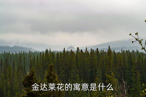 金達萊花的寓意是什么