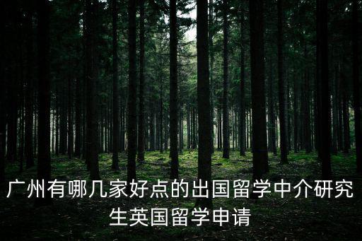 廣州有哪幾家好點的出國留學中介研究生英國留學申請