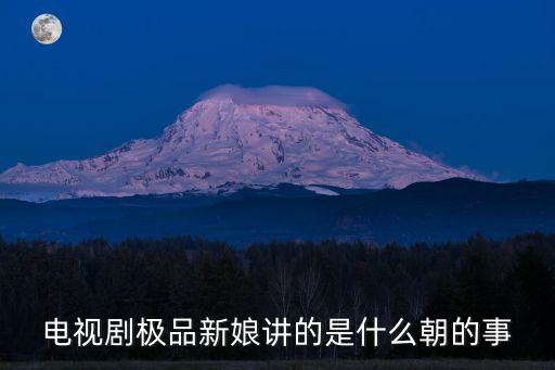 電視劇極品新娘講的是什么朝的事