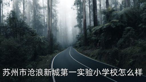 滄浪實(shí)驗(yàn)小學(xué)，蘇州滄浪實(shí)驗(yàn)小學(xué)滄浪新城分校與蘇苑小學(xué)哪個(gè)比較好考慮到滄浪