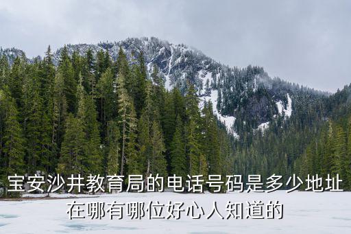 寶安沙井教育局的電話號碼是多少地址在哪有哪位好心人知道的