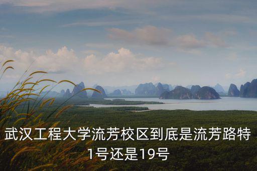 武漢工程大學流芳校區到底是流芳路特1號還是19號