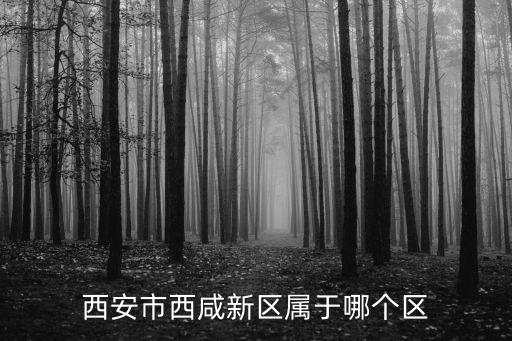 陜西省西咸新區(qū)，陜西省西咸新區(qū)屬于哪個(gè)市