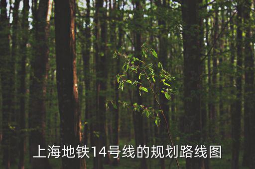 上海地鐵14號線的規劃路線圖