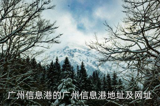 廣州信息港的廣州信息港地址及網址