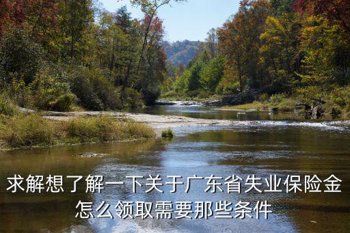 求解想了解一下關于廣東省失業保險金怎么領取需要那些條件