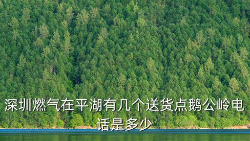 深圳燃氣電話，深圳市深燃石油氣有限公司龍華供應站075528188886是黑氣