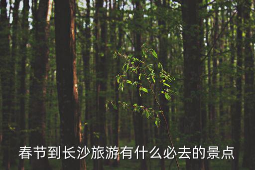 春節到長沙旅游有什么必去的景點