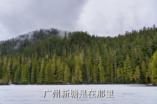 廣州新塘是在那里