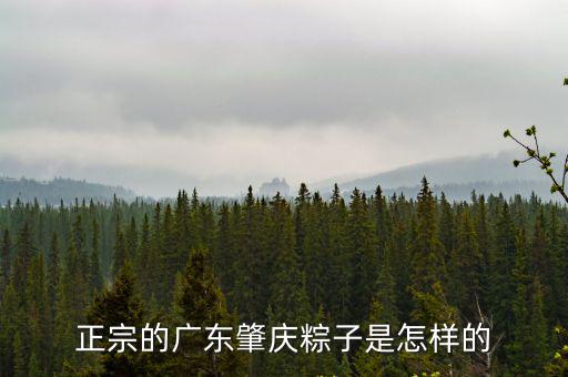 廣東粽子，正宗的廣東肇慶粽子是怎樣的