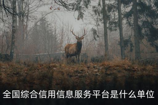 全國綜合信用信息服務平臺是什么單位
