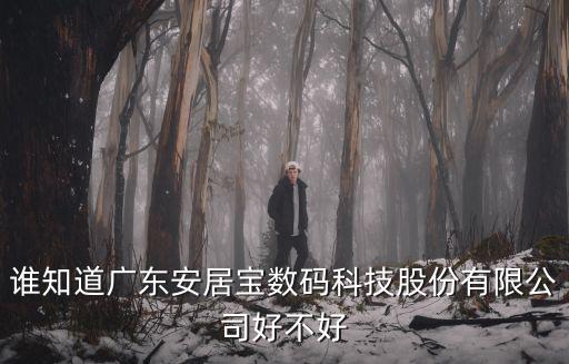 誰知道廣東安居寶數碼科技股份有限公司好不好