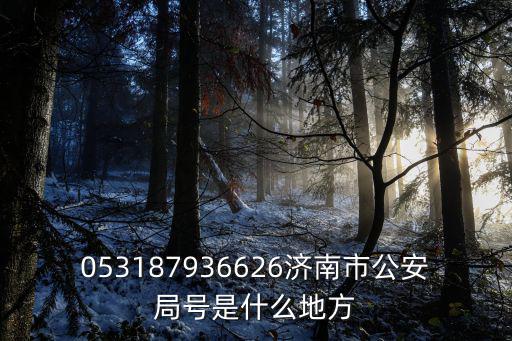 濟南公安，濟南市公安局人口管理支隊什么級別