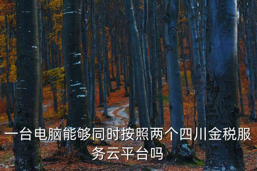 一臺(tái)電腦能夠同時(shí)按照兩個(gè)四川金稅服務(wù)云平臺(tái)嗎