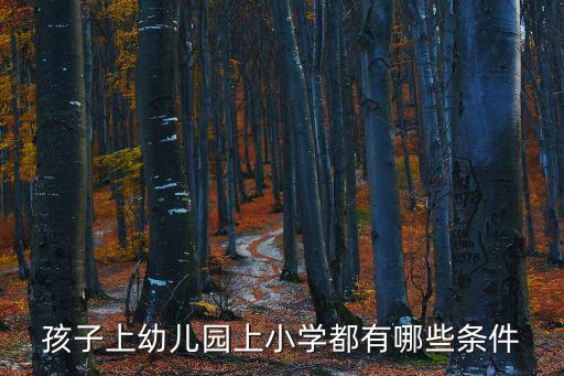 孩子上幼兒園上小學(xué)都有哪些條件