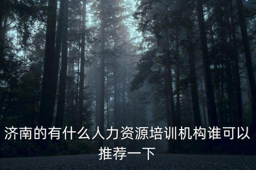 濟南的有什么人力資源培訓機構誰可以推薦一下