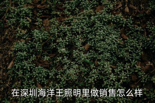 深圳海洋王，上海海洋王和深圳海洋王有什么區(qū)別