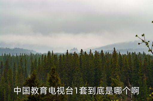 中國教育電視臺1套到底是哪個啊