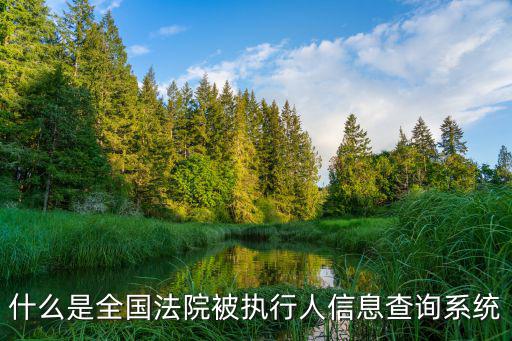 被執行人查詢系統，可以在全國法院系統查詢被執行人的財產嗎