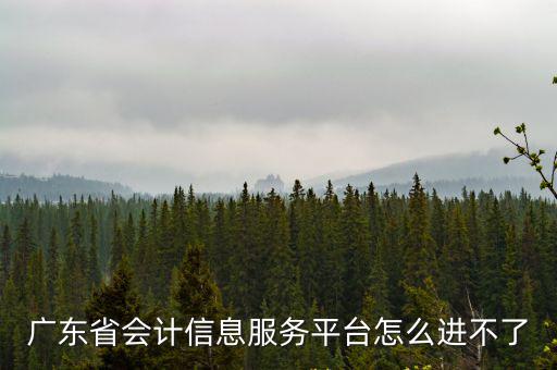 廣東省會計信息服務平臺怎么進不了