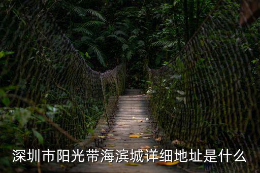 深圳陽光帶海濱城，深圳南山陽光棕櫚園到陽光帶海濱城坐什么車