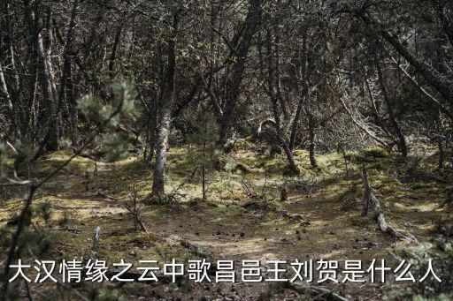 海昏侯劉賀簡介，海昏侯墓怎么還未正式確認為劉賀的