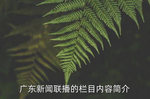 廣東新聞聯(lián)播的欄目?jī)?nèi)容簡(jiǎn)介