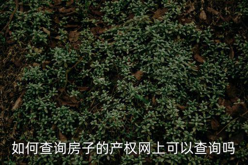 如何查詢房子的產權網上可以查詢嗎