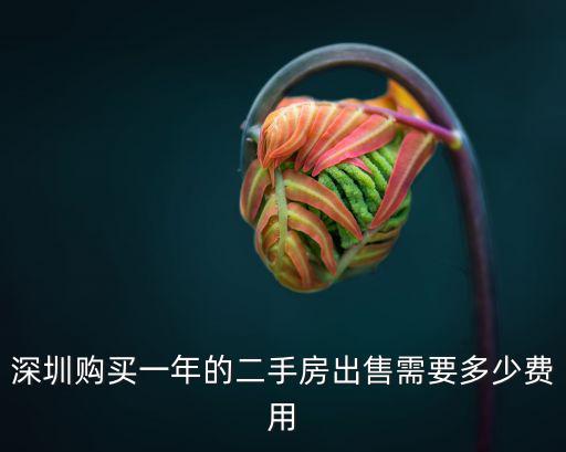 深圳購買一年的二手房出售需要多少費用