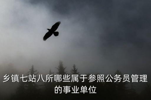八所，鄉鎮七站八所哪些屬于參照公務員管理的事業單位