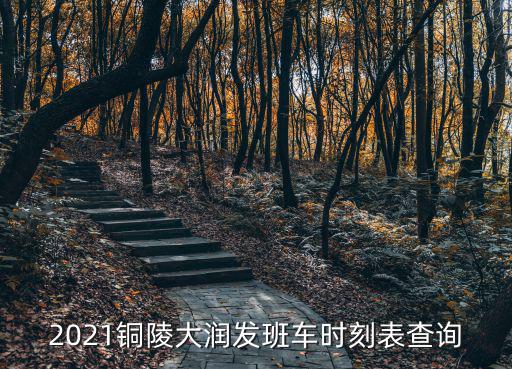 2021銅陵大潤發(fā)班車時刻表查詢