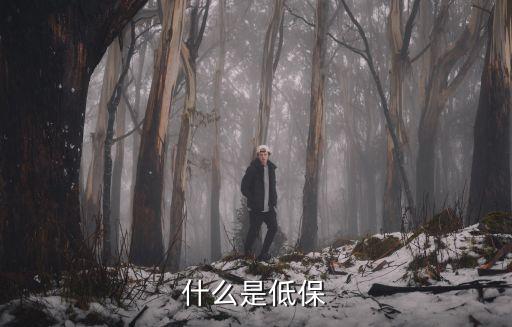 什么是低保，什么是低保