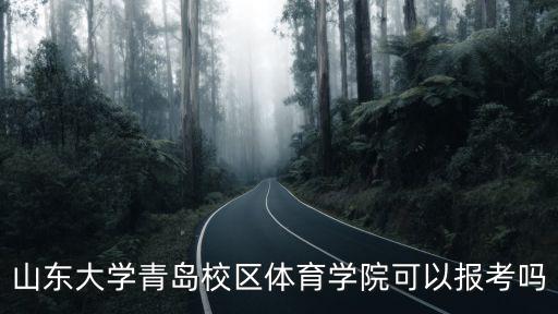 山東大學青島校區體育學院可以報考嗎
