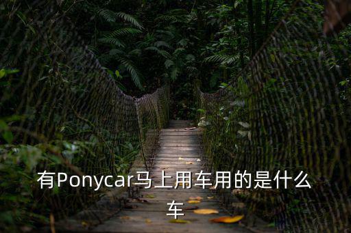 有Ponycar馬上用車用的是什么車