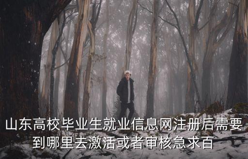 山東高校畢業(yè)生就業(yè)信息網(wǎng)注冊(cè)后需要到哪里去激活或者審核急求百