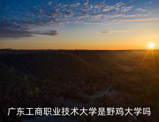 廣東工商職業(yè)技術(shù)大學(xué)是野雞大學(xué)嗎