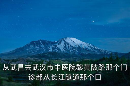 從武昌去武漢市中醫(yī)院黎黃陂路那個門診部從長江隧道那個口