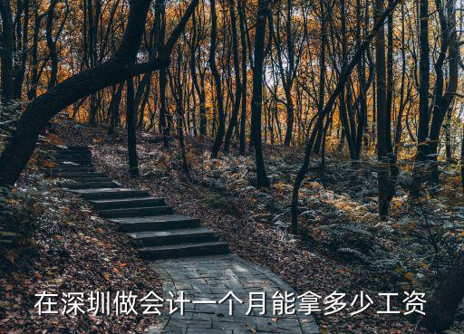 在深圳做會計一個月能拿多少工資