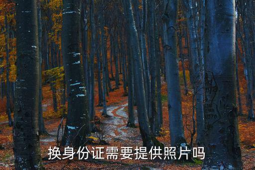 換身份證需要提供照片嗎