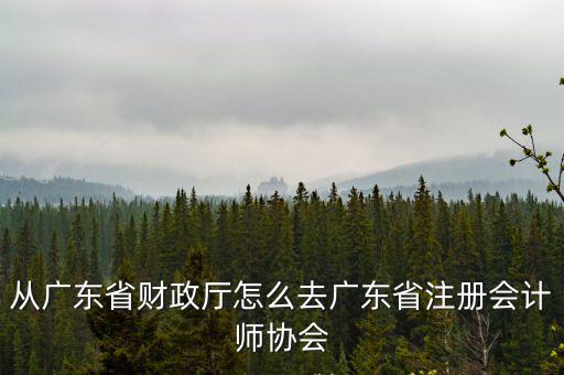 從廣東省財政廳怎么去廣東省注冊會計師協會