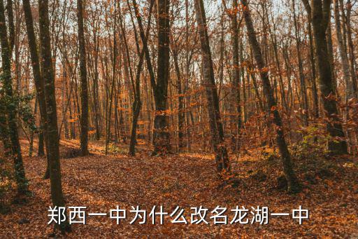 鄭西一中為什么改名龍湖一中