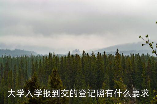 大學入學報到交的登記照有什么要求