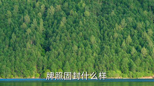 牌照固封什么樣