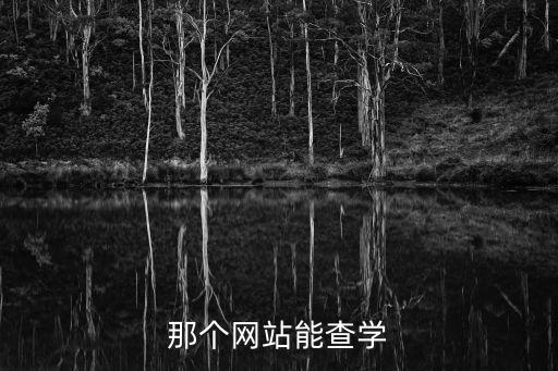 那個網站能查學