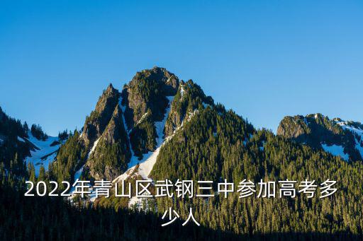 2022年青山區武鋼三中參加高考多少人