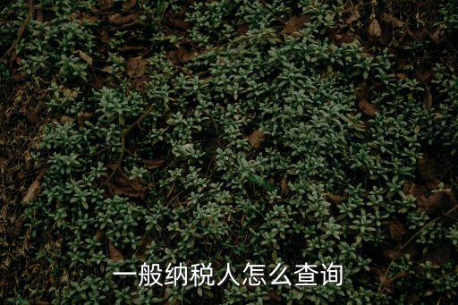 一般納稅人查詢網，一般納稅人資格網上查詢要怎樣操作