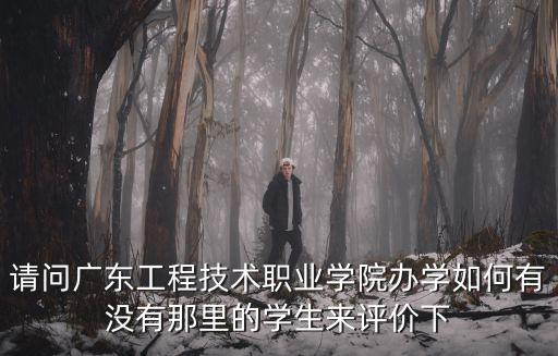 請問廣東工程技術職業學院辦學如何有沒有那里的學生來評價下
