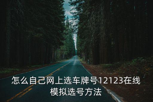 怎么自己網(wǎng)上選車牌號12123在線模擬選號方法